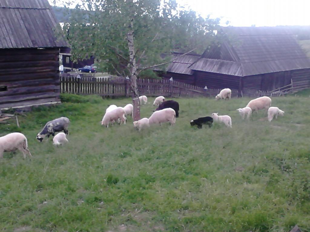 Chatki Qdlatki Клушковце Екстериор снимка
